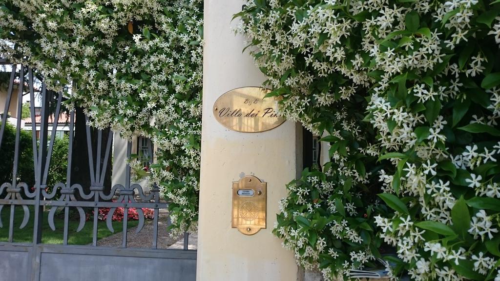 Domegliara B&B Villa Dei Pini المظهر الخارجي الصورة