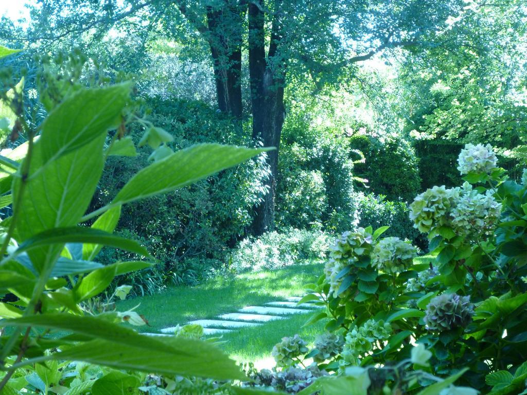 Domegliara B&B Villa Dei Pini المظهر الخارجي الصورة